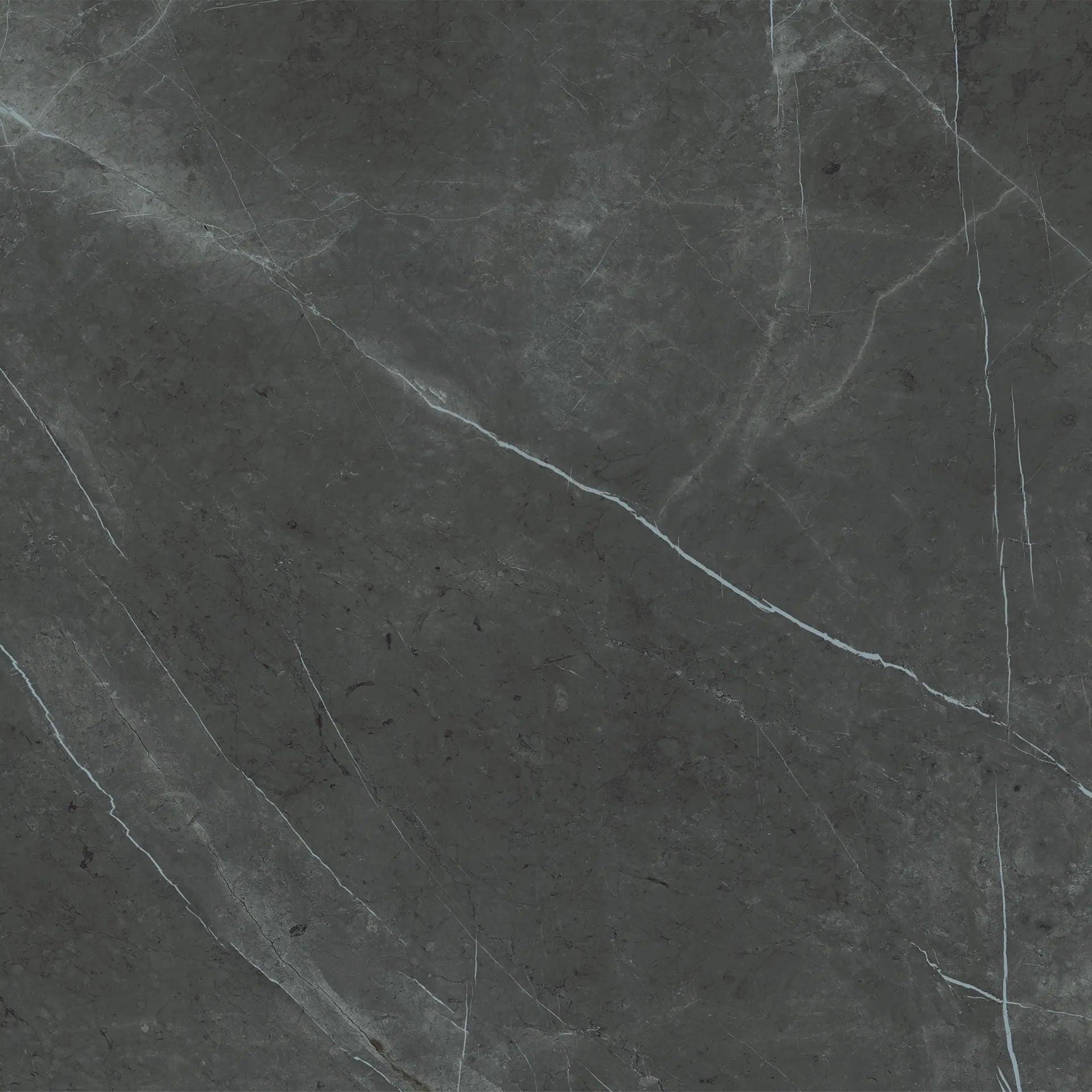 Magnifica The Thirties 30" x 30" - 8mm Polished Porcelain Tile in Pietra Grey